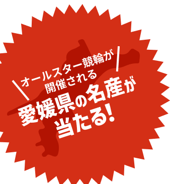愛媛県の名産が当たる！